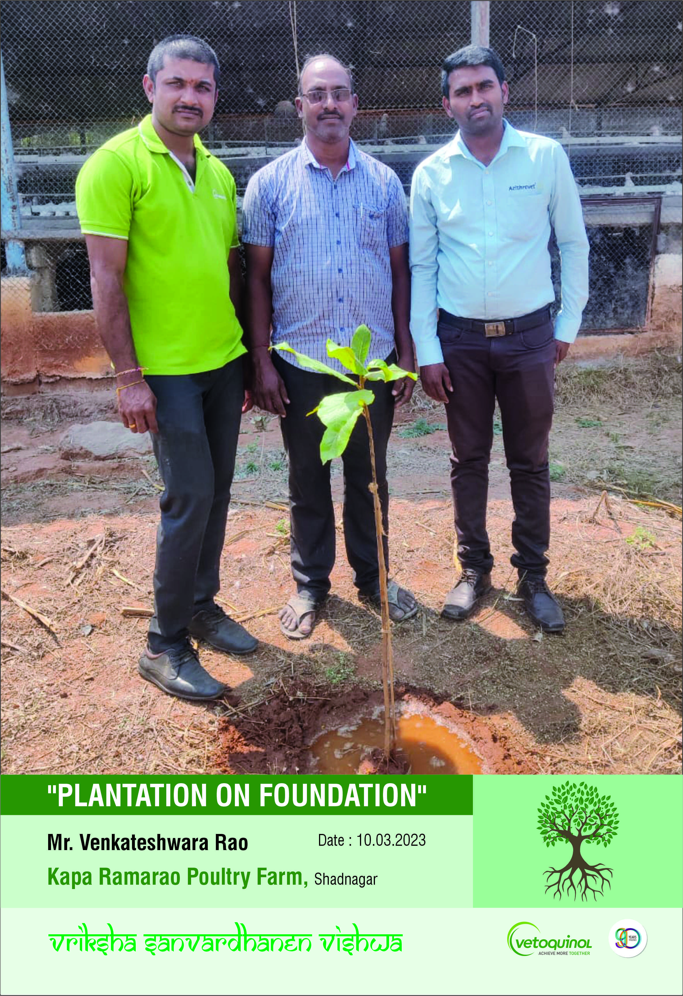 plantation on foundation2