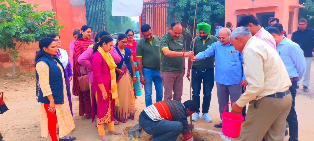 Tree planantion -Rajasthan