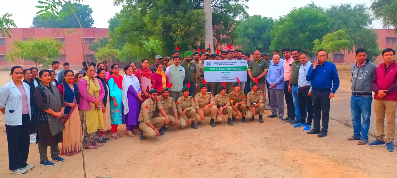 Tree planantion3 -Rajasthan