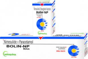 bolin-np.jpg